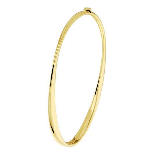 Bangle scharnier 4 x 60 mm